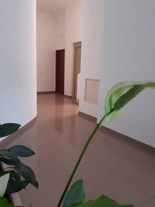 Apartamento Batalha - Quarteira, Algarve, Portugal Buitenkant foto